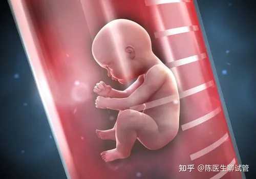 福州助孕包性别|深圳供卵机构试管包男孩十万够