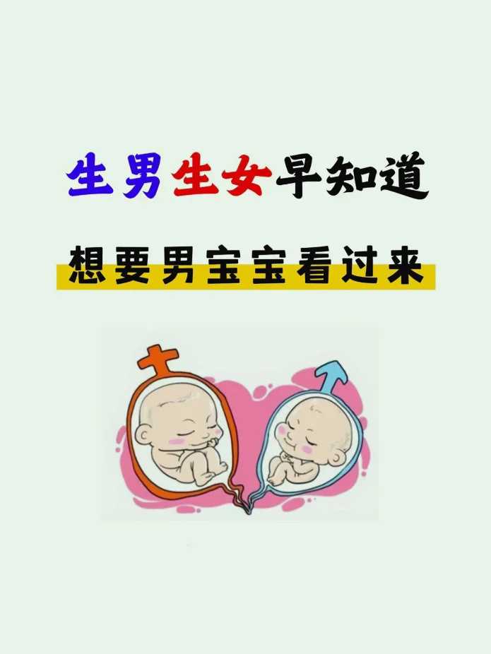 试管婴儿生男孩费用与性别选择技术解析