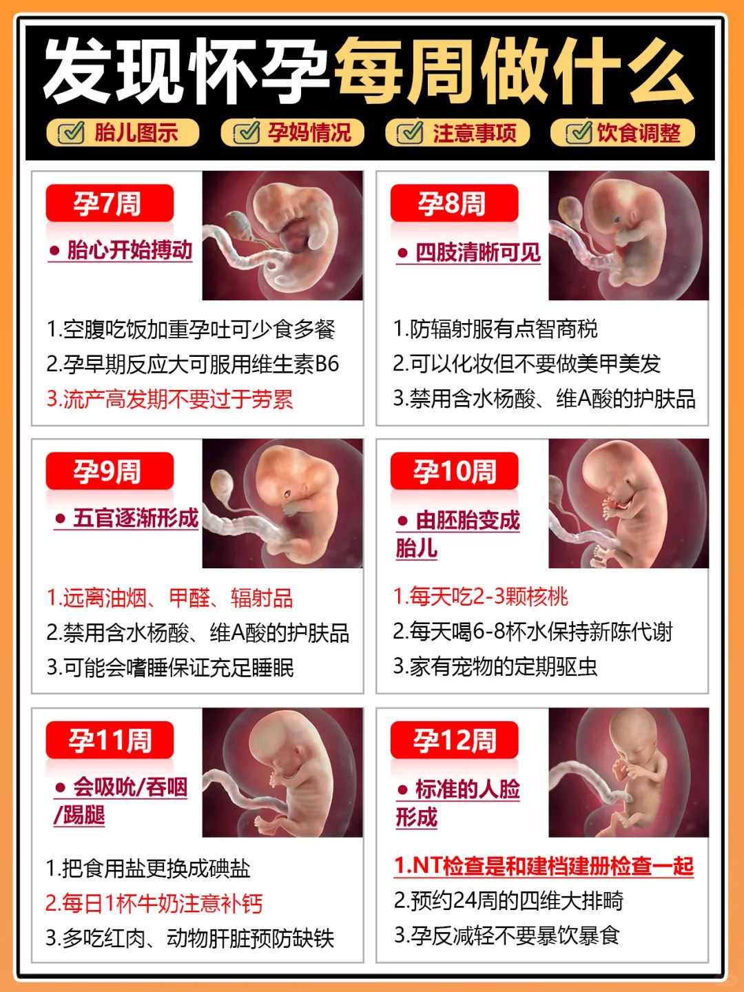 试管婴儿助孕流程与时间解析：从检查到移植的详细指南