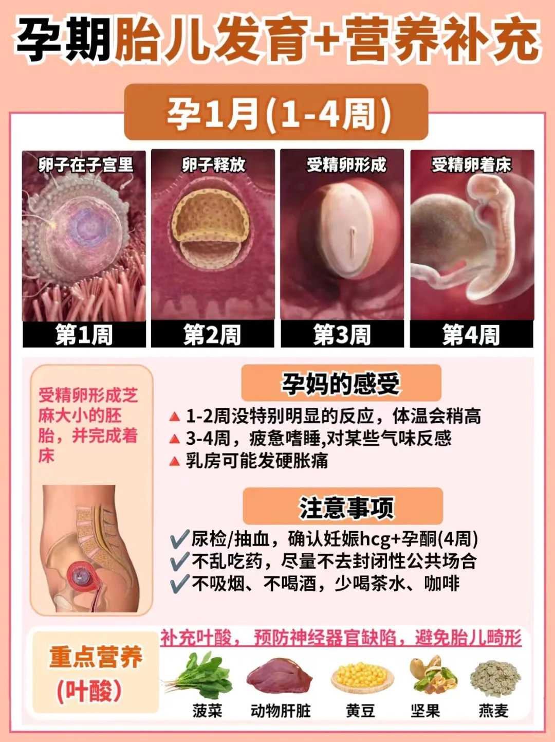 提升家庭和谐：婆媳默契技巧与三代试管助孕指南